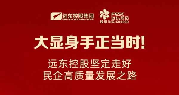 大顯身手正當(dāng)時(shí)！遠(yuǎn)東控股堅(jiān)定走好民企高質(zhì)量發(fā)展之路